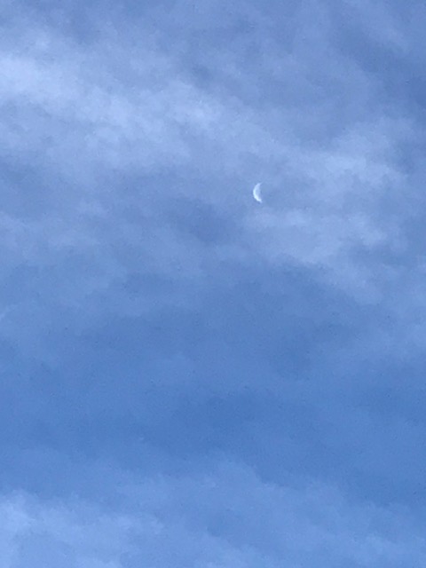 écrire à la nouvelle&nbsp;lune