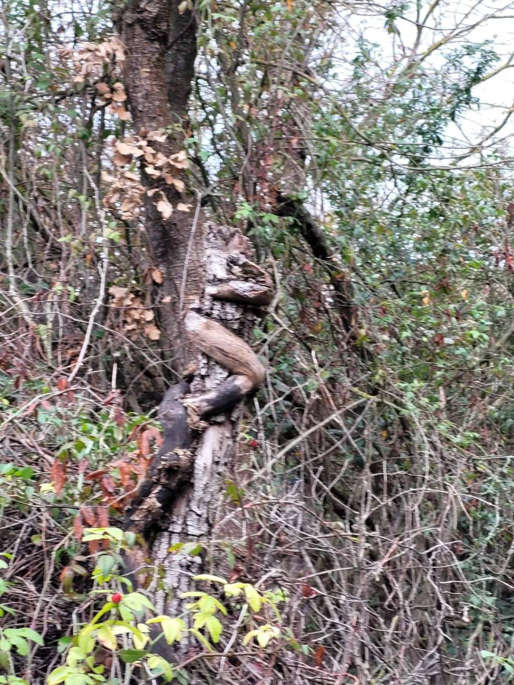 l’attente lente et précieuse des jours&nbsp;meilleurs