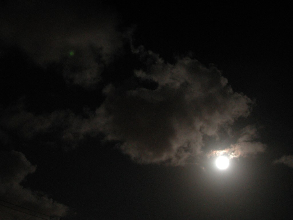 onze mars sans&nbsp;elle