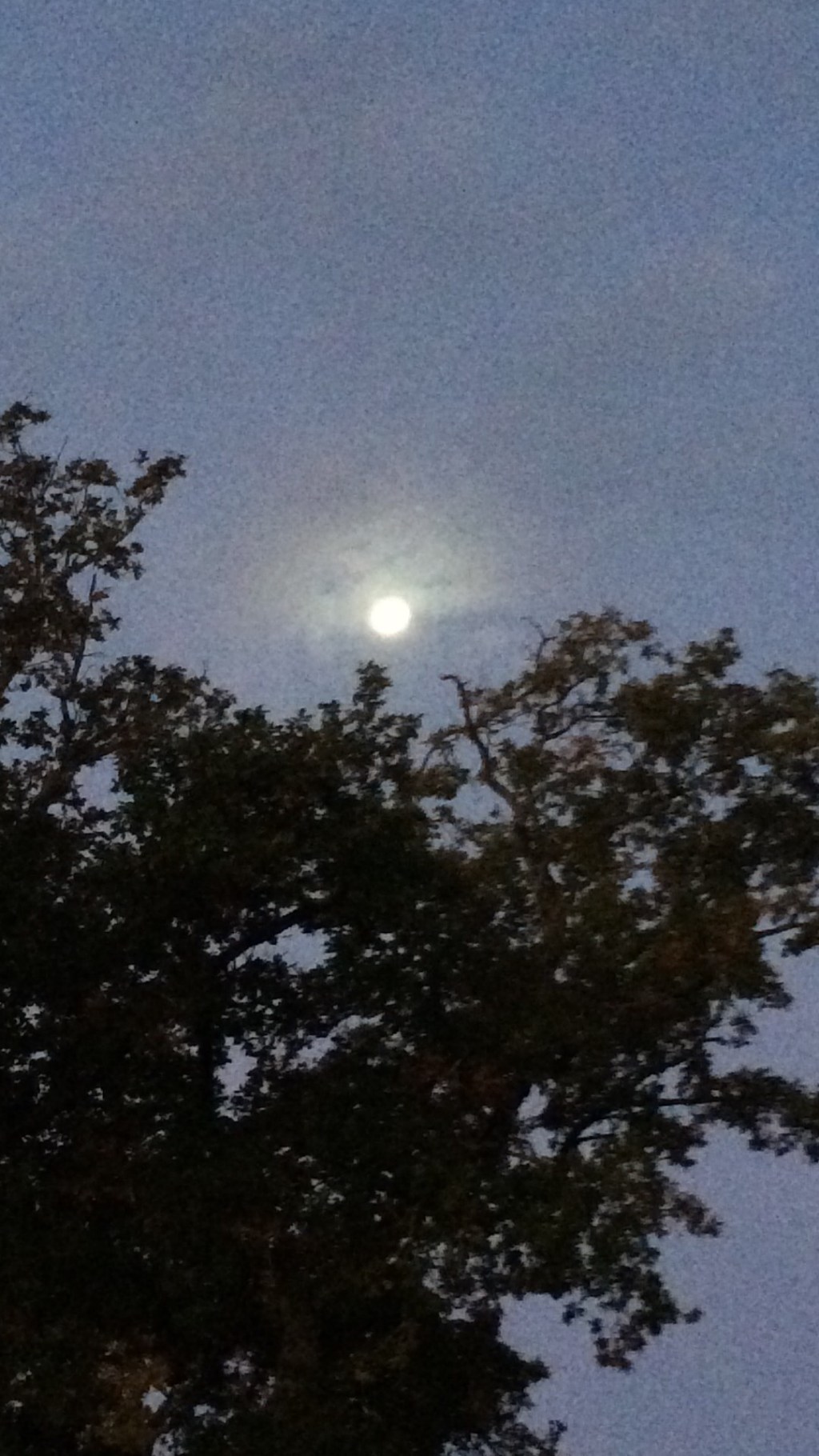 voyages oniriques – chaque nuit construire un&nbsp;monde