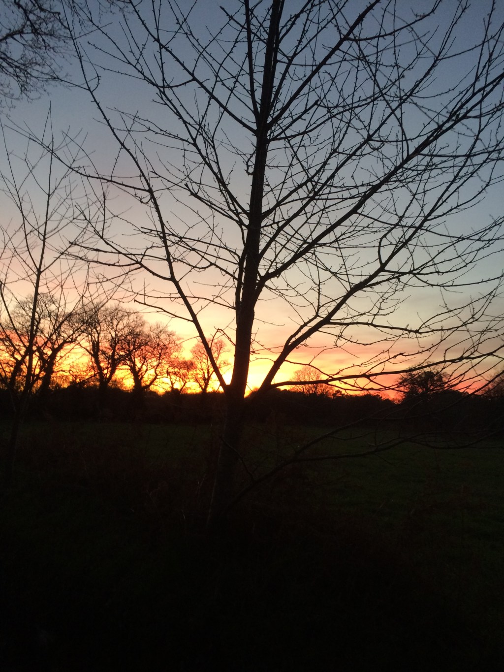 J&rsquo;aurais pu l&rsquo;écrire ce soir, hier, demain&nbsp;peut-être