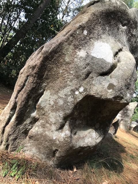 le masculin l’emporte(ra pas au&nbsp;paradis)